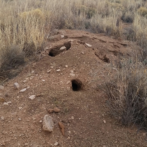 mound-of-holes
